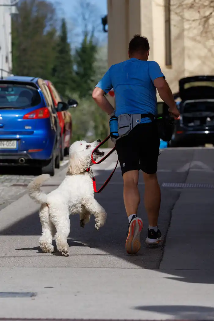 71775665613avtor-Jani-Brajkovič JB_M3073.webp-nm-tek.si